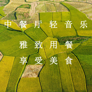 武警女兵一级A片
